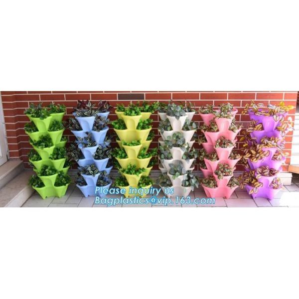 Succulents питомника баков плантатора зеленой клубники мешков сада Hydroponic вертикальные обрабатывая землю
