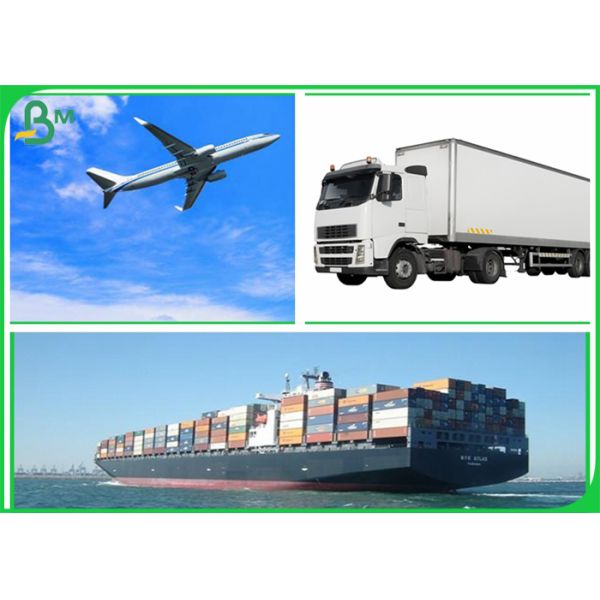 alto papel de trazador de la fuerza de la resistencia de 60g 70g 80g para la sala de despiece de la ropa