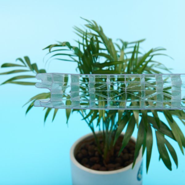 Luxury 25mm Hollow Core Polycarbonate Sheet 2100x6000mm