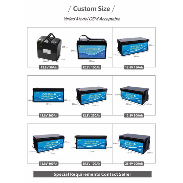 12V 100Ah Rechargeable LiFePO4 Lithium Ion Battery Solar Inverter Energy Storage System Home Use