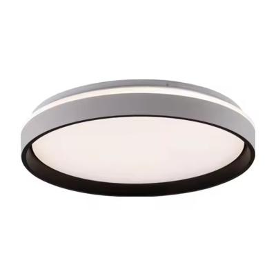 Modern Flush Mount LED Ceiling Lights Fixture For Living Room Hallway Bedroom Home Hotel