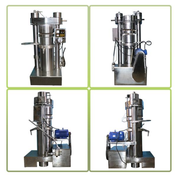 Walnut Oil Cold Pressed Extraction Machine 60 Mpa Hydraulic Press High Oil Yield