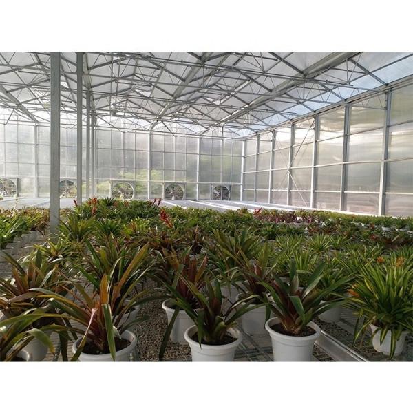 Clear Plastic Polycarbonate Roof Greenhouse For Flower And Vegetable Cultivation