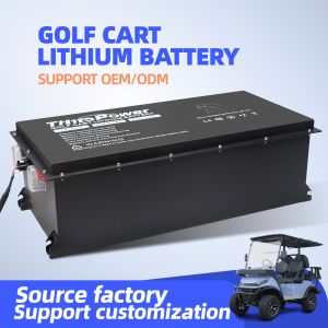 48V Electric Buggy 165Ah Lithium Ion Battery With BMS
