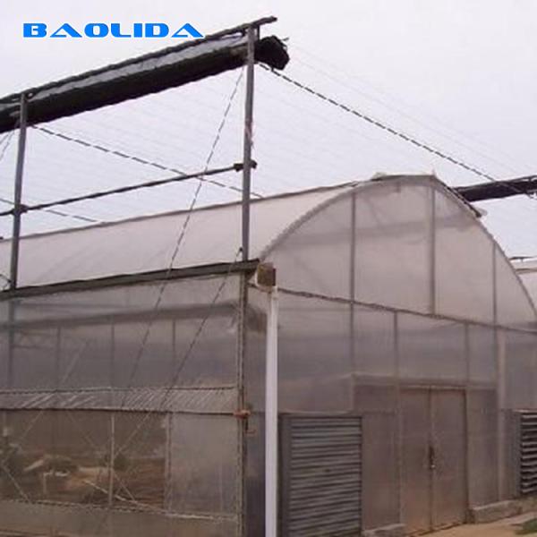 Grande estufa do filme plástico do tamanho/estufa 20m - 100m da agricultura longo