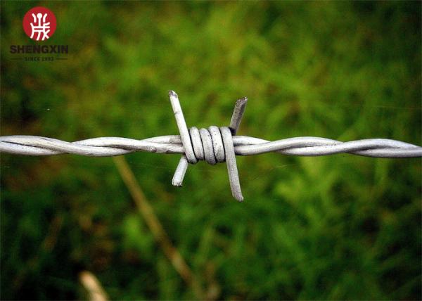 25kg Anti Rust 450mm Galvanized Razor Barbed Wire