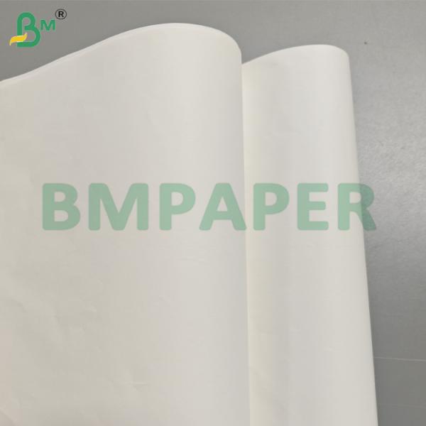 Hojas de papel resistentes al moho para revestimiento de vidrio