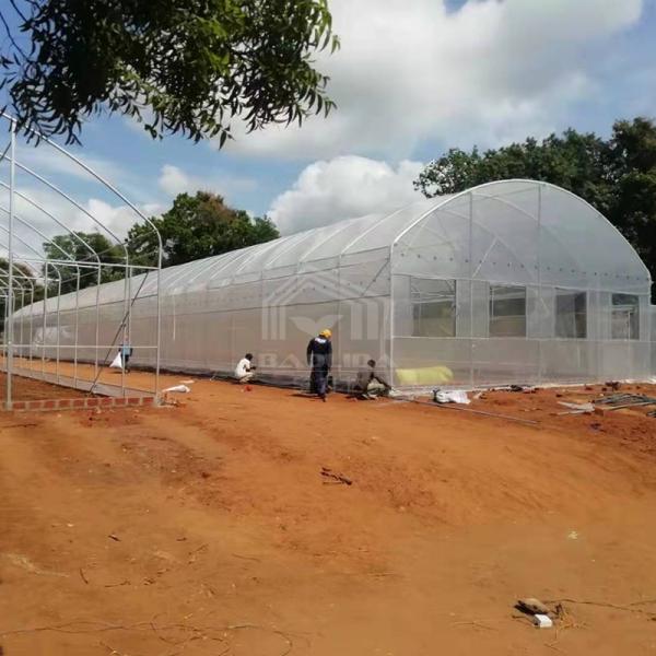 Conservatoire de film plastique Serre maison de crochet Polytunnel Tunnel haut Serre