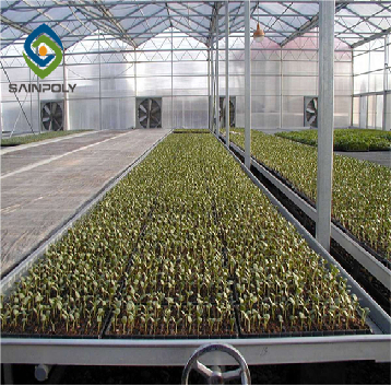 Venlo Style Polycarbonate Farming Green House Customizable Size