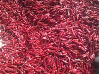 El chile rojo secado certificado de BRC sazona el sabor con pimienta acre 10000-90000shu