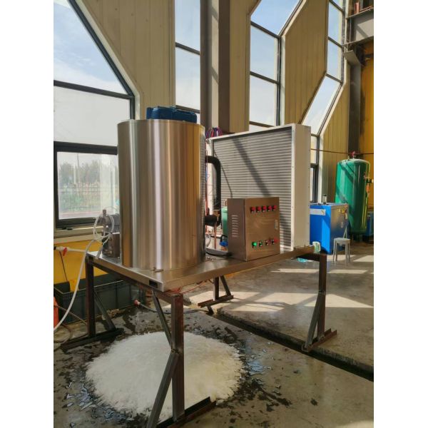 Ecoice 3Ton/Day Stainless Steel Best Commercial Flake Ice Making Machine for Seafood & Fishery