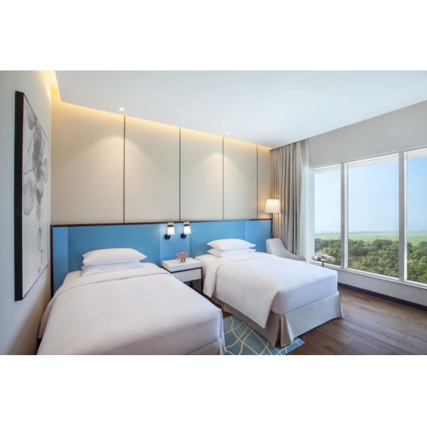 India Hyatt Hotel Blue Theme National Features Thin Structure Furnitures