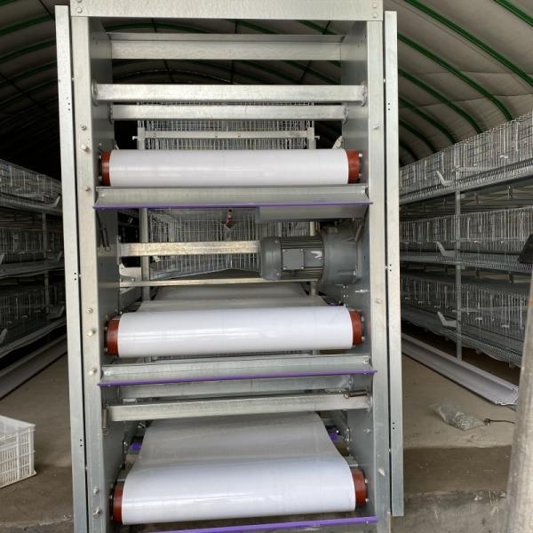 Egg Chicken Poultry Farm 3 Tiers 4 Tiers H Type Automatic Battery System Chicken Layer Cage