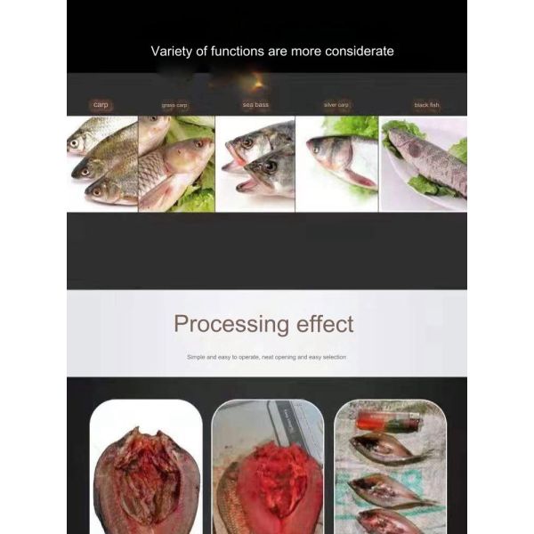 Fish Killing Machine for Commercial Continuous Automatic Gutting 304 Stainless Steel