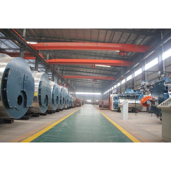 6 Ton Straw Dust Industrial Biomass Boiler Conveyor Feeding Running