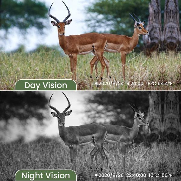 2 Sensors 1520P HD 20MP Trail Wildlife Camera IP66 For hunting