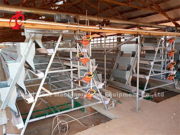 Тип ручной яйцекладки курицы птицеводческая клетка Эмили