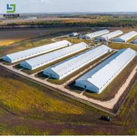 Cadre métallique en acier Structure préfabriquée en acier Ferme de poulet Poule maison de poule Vache grange Broiler couche Poule maison