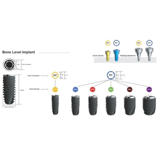 Dental Mini Implant Narrow Connection for Teeth Restoration Customized by 2D/3D/Drawing