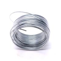 O eletro baixo carbono Q195 galvanizou o fio de aço 21G 8mm galvanizado