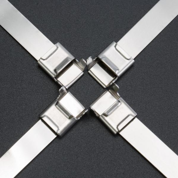 SS304 Wing Seal Clips Banding Metal Clasp Buckle 1/4 Inch width