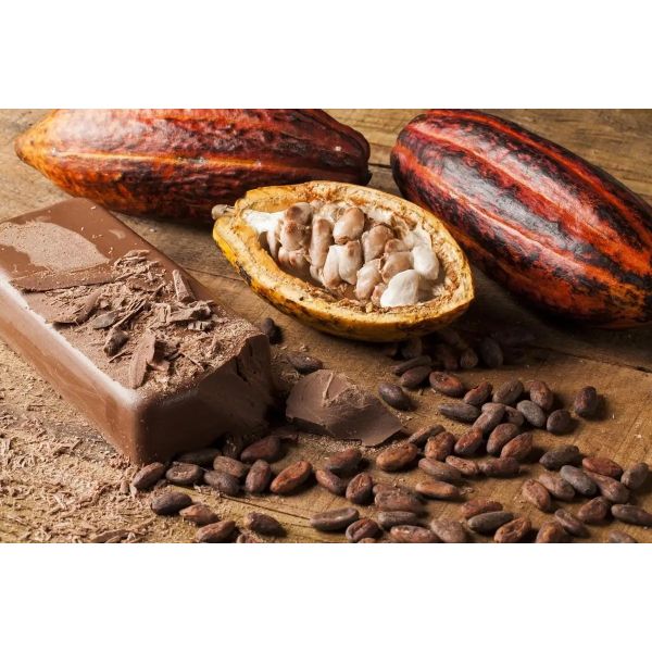 Wholesale Fat-reduced alkalized Ghana cocoa powder fat 10-12% For Beverage, Bakery,Confectionery, Ice-Cream