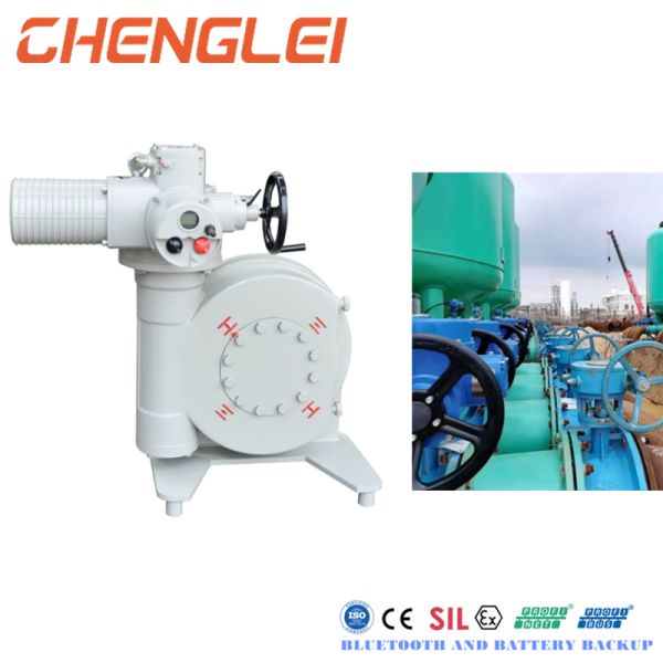 Intelligent Windy Nation Electric Rotating Actuator for Cut-off Valve with DQ Series Quarter Turn and Modulating Control