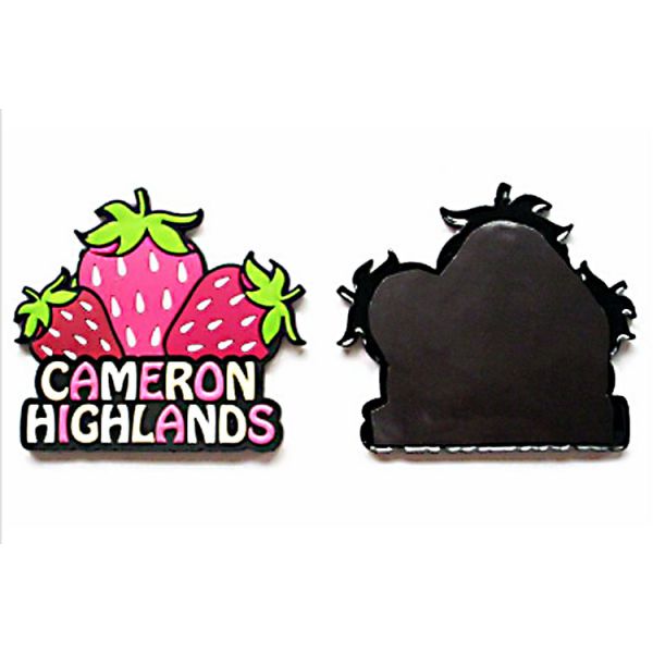 Modern Type Soft Fridge Magnets Injection Logo Technics Offered Freely Design