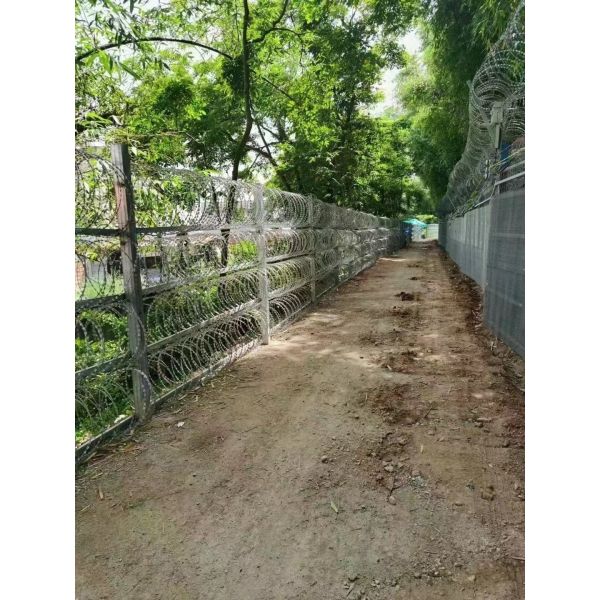 Фабричная цена Нержавеющая сталь Резервная проволока Цены Concertina Резервная лезвие Колючая проволока Производитель