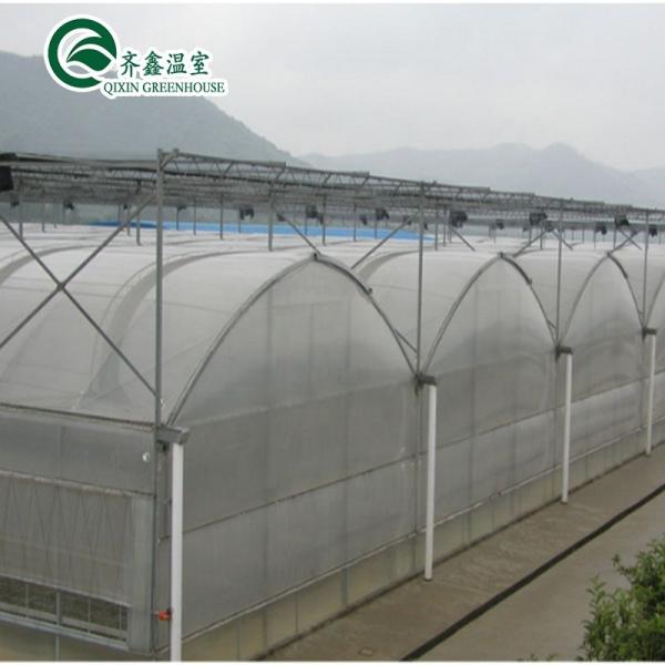 Large Steel Greenhouse Structure Shed Design With 150/200micro PE Film Covering