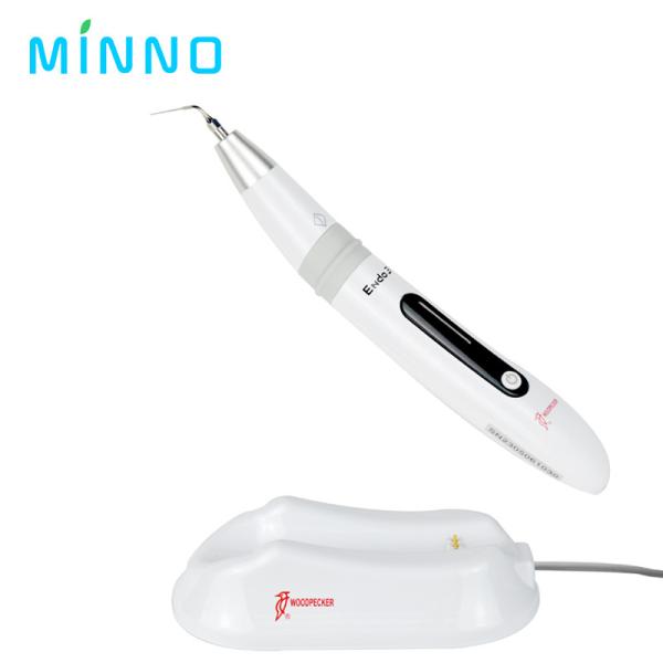 EN149 Ativador Endotérmico Dental Peixe de Madeira Endo 3 Irrigador Oral Ultrassonico