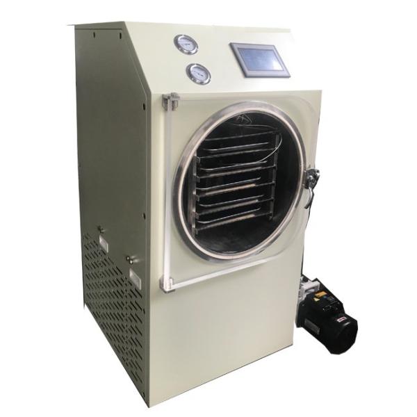 110-240V Portable Food Freeze Dryer Automatical Control Touch Screen Operating