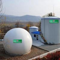 Equipo de la purificación del biogás del depurador de gas metano del sulfuro de hidrógeno
