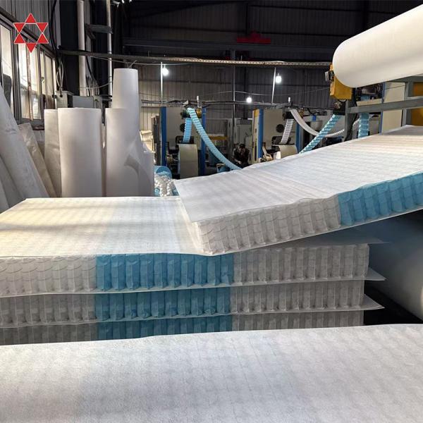 Factory Wholesale OEM Service Customized Size Pocket Spring Inner Spring Unit for Mattress & Sofa