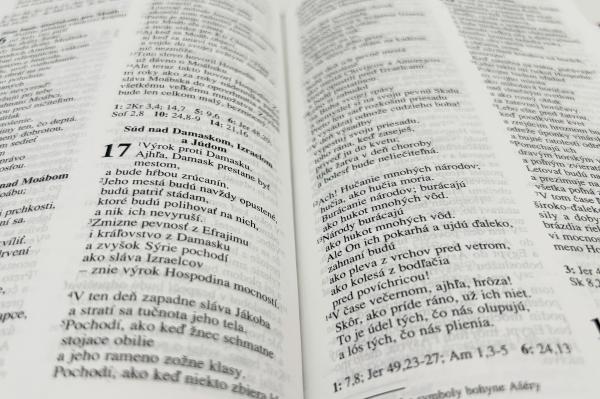 custom hardcover bible printing -black and white color