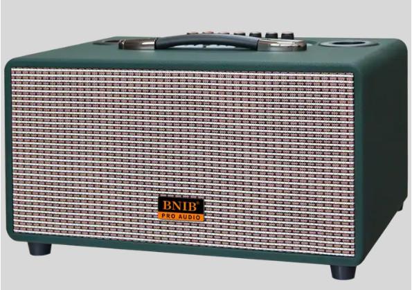 Outdoor Active TWS Portable Wireless Speaker 6.5 Inch 800W With 2 Mic