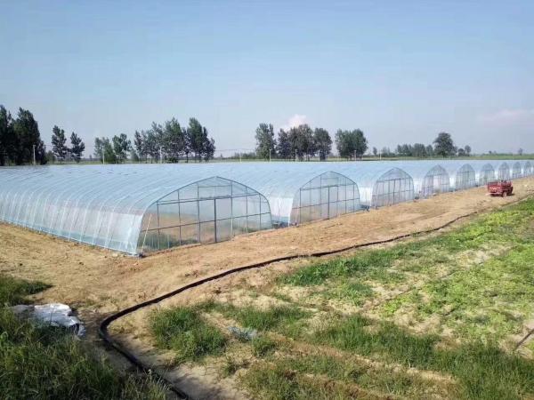La couverture de tunnel a renforcé la poly serre chaude de recouvrement claire de pellicule de polyéthylène