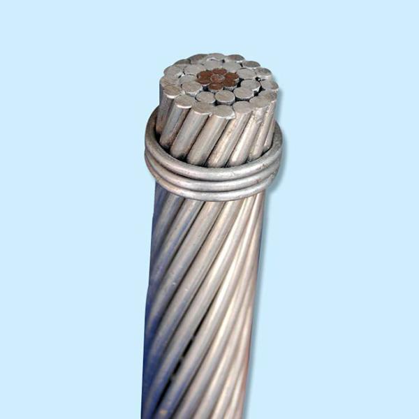 Overhead Transmission Bare BS215 ACSR Moose Conductor