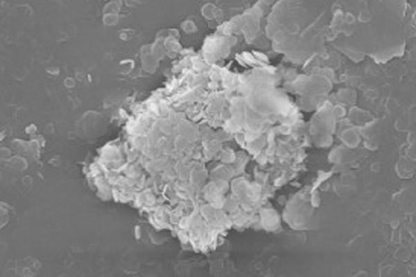 POLVO DEL NITRURO DE BORO APLICADO AL MATERIAL REFRACTARIO Y SUPERHARD DE ALTO GRADO