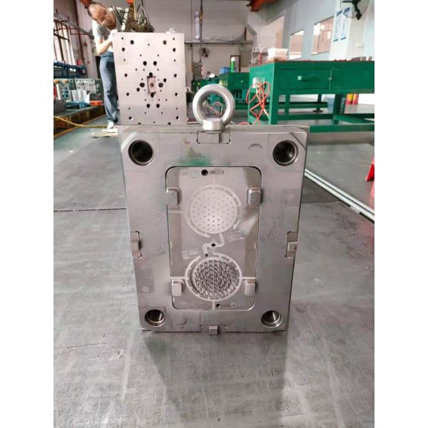 Custom HASCO Plastic Injection Mould Makers Multi Cavity PP Mold