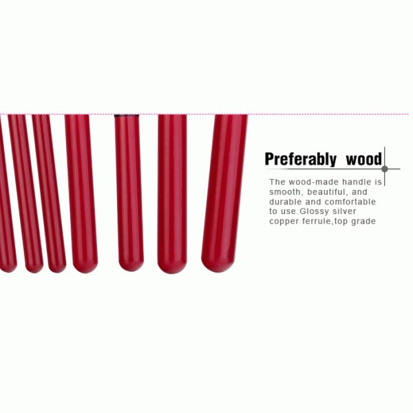 Wooden Handle Red Beauty Professional Cosmetic Brush Set Lightweight