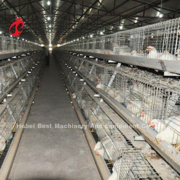 Système de cage de poulet à viande de type A ou H stable, cage de poulet entièrement automatique
