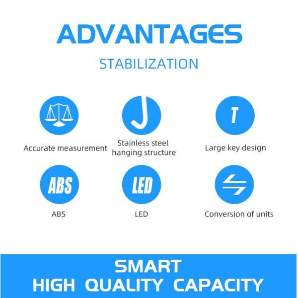 LCD Display Portable Digital Scale Heavy Duty Hanging Crane Scale 300kg Capacity OEM ODM Supported for Weight Measurement