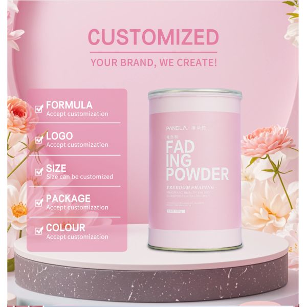 Poudre Décolorante Professionnelle pour Cheveux de Salon 500g Formule à Base de Plantes Coloration Permanente