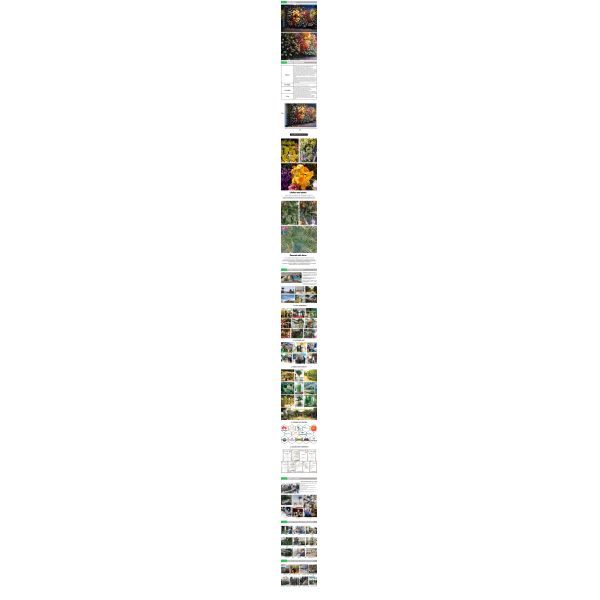 Decorativo interior de la pared artificial de la planta verde de la altura del OEM los 40cm