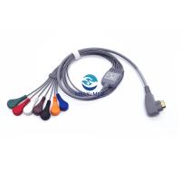 19 le câble patient instantané 5/10 de Pin ECG plomb la sécurité patiente compatible de système Holter du DMS 300