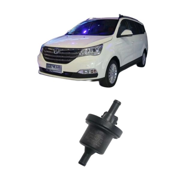 BAIC WEIWANG M35 306 307 M20 M30 205 206 M50F M35M60S50 Carbon Tank Solenoid Valve
