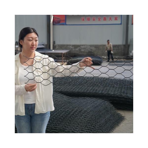 Customized 2*1*1m Galvanized PVC Coated Gabion Boxes for Protecting Retaining Walls