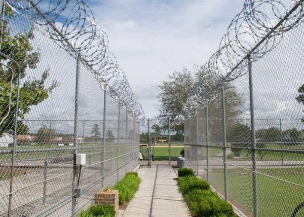 Zoos 50*150mm Diamond Galvanised Chain Link Fencing