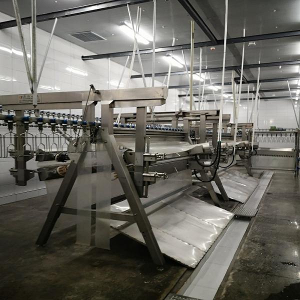Electrical Heating Automatic Chicken Scalding Machine For Slaughtering Line